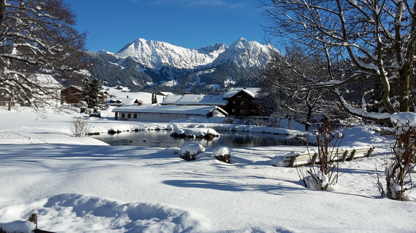 Nebelhorn